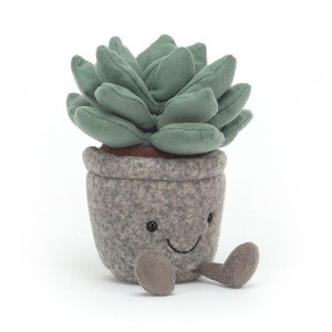 Silly Succulent Azulit 16cm