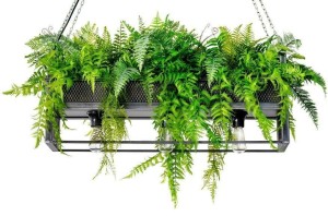 Lampa wisząca kwietnik SEMIRA 100 INDUSTRIAL