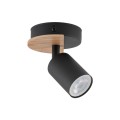 4673_COVER_WOOD_A1.jpg