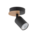 4673_COVER_WOOD_A1.png