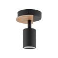 4673_COVER_WOOD_W.jpg