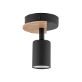 4673_COVER_WOOD_W.png
