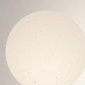 e2334063a9c2bef7145c637dd68806d1