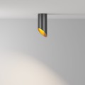 ca68bf44df6c47f4f08867162df4f05e
