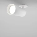 2bda7c4970b7edcce03f9b28abd03d22