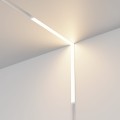 167072864a018db3dff047c78a959252