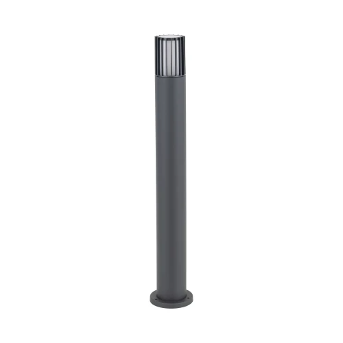 16172_RIBO_GRAY_A.jpg