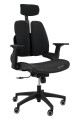 A022.CHROM_aeron_1.1.jpg